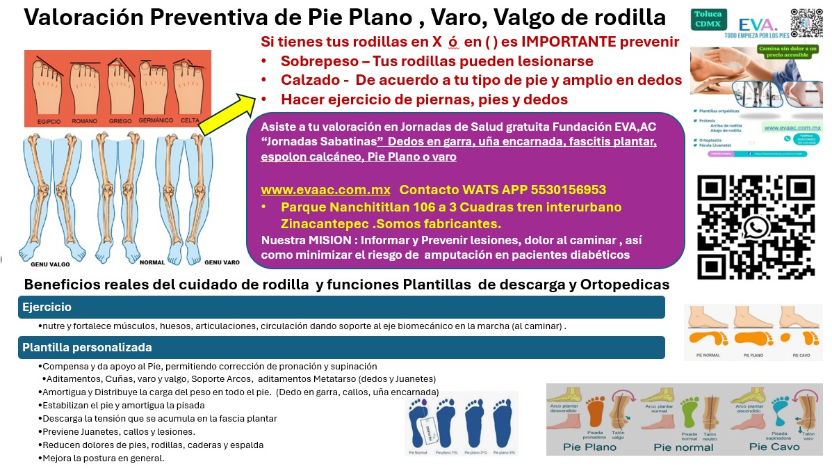 Notificación
